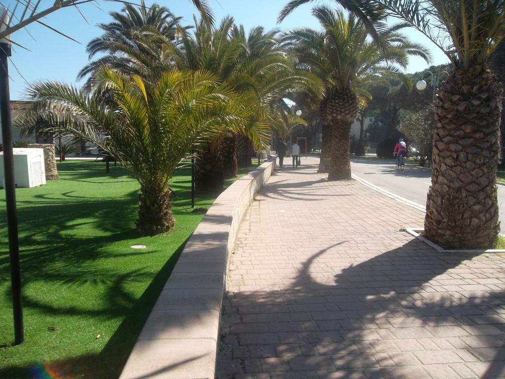 Hotel Quattropalme Tortoreto ภายนอก รูปภาพ
